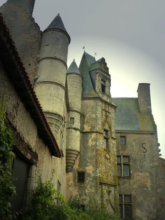 Chateau De Vermette Hotel La Chapelle-Gaudin Стая снимка