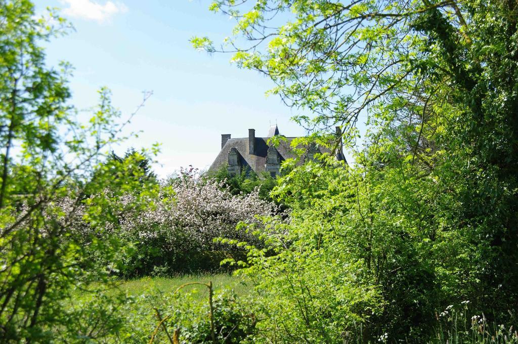 Chateau De Vermette Hotel La Chapelle-Gaudin Екстериор снимка